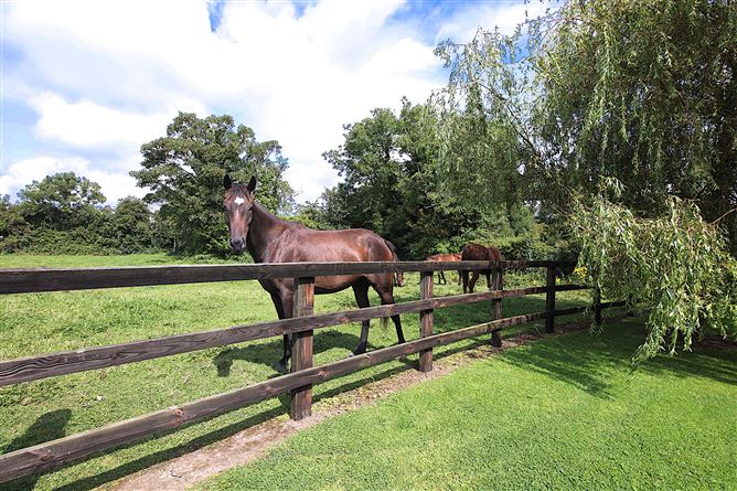 Photo 45 of 72 — Piercetown, Kilcock, Meath
