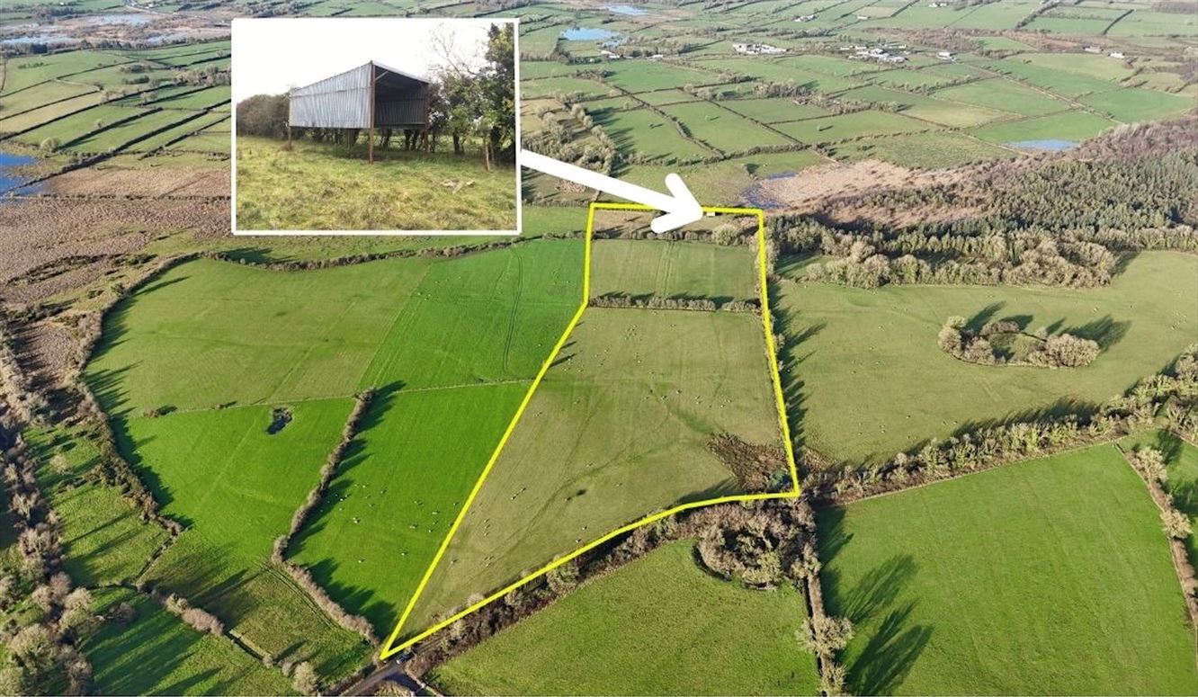 15.93 acres (approx.) at Cloonrane, Strokestown, Co. Roscommon