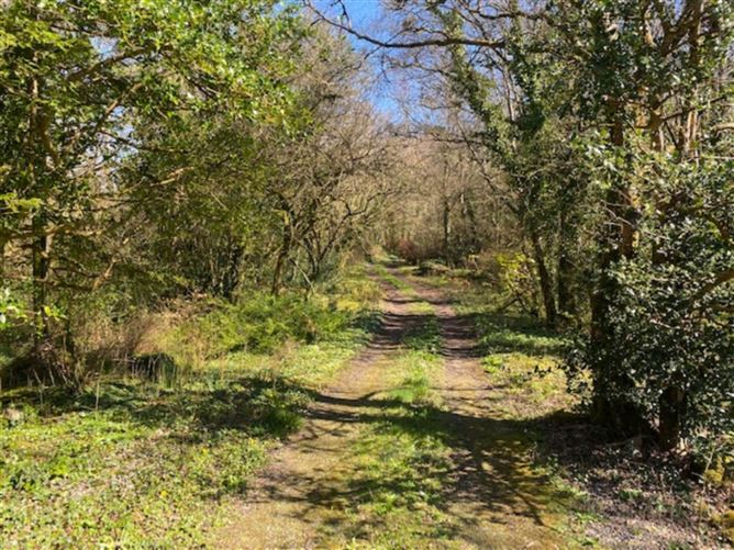 Photo 7 of 8 — Cregmore, Ardrahan, County Galway