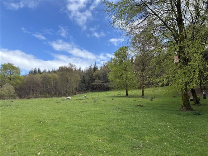 Photo 17 of 28 — The Nire, Graignagower, Ballymacarbry, Waterford
