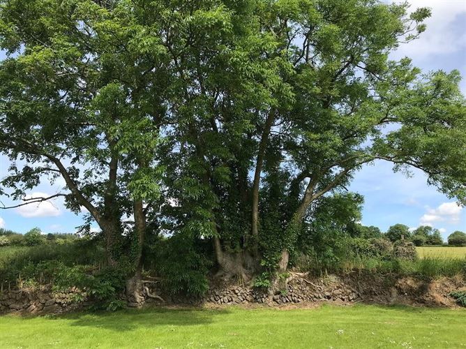 'Misty Acres', Licketstown, Carrigeen, Kilkenny Town, Kilkenny