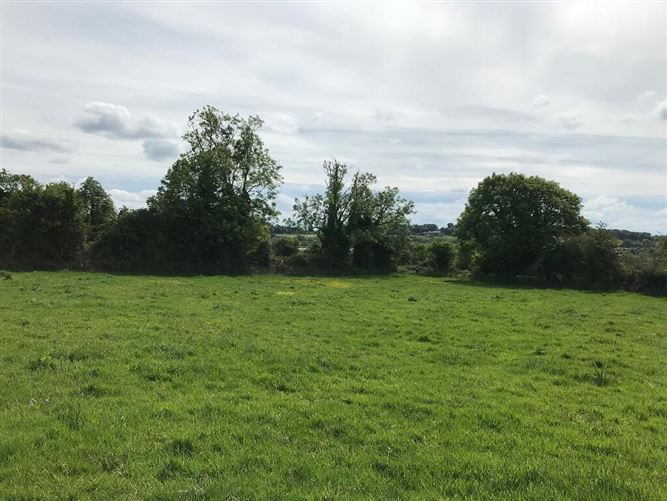'Misty Acres', Licketstown, Carrigeen, Kilkenny Town, Kilkenny