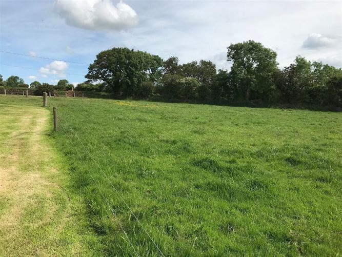 'Misty Acres', Licketstown, Carrigeen, Kilkenny Town, Kilkenny