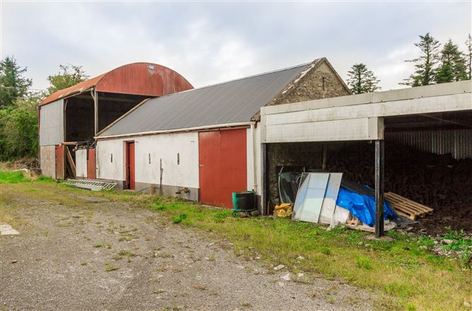 Lismurtagh, Tulsk, Co. Roscommon