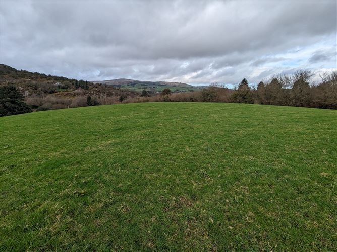 c.59.25 acres, Rahoonagh West, Ballymakeera, Co. Cork