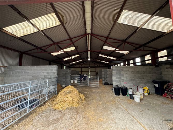 Extensive Farmyard On c. 4.5 Acres / 1.82 HA., Park Lane, Grangebeg, Dunlavin, Wicklow