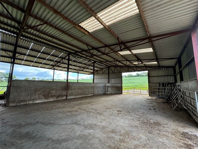 Extensive Farmyard On c. 4.5 Acres / 1.82 HA., Park Lane, Grangebeg, Dunlavin, Wicklow