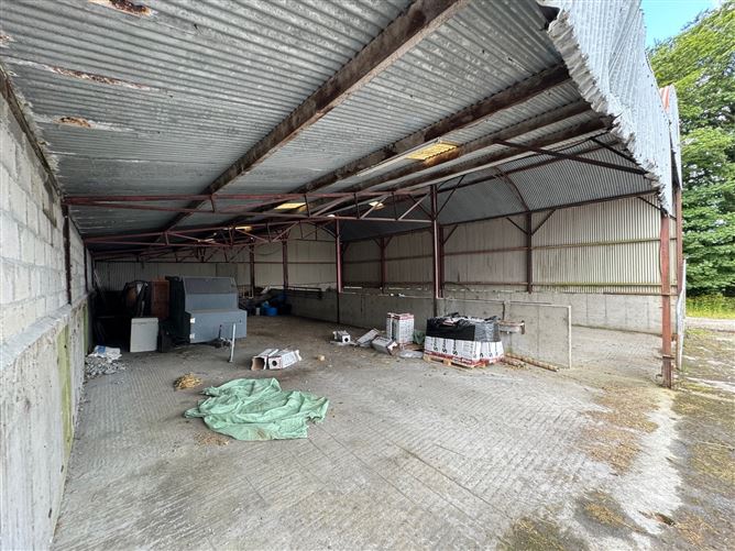 Extensive Farmyard On c. 4.5 Acres / 1.82 HA., Park Lane, Grangebeg, Dunlavin, Wicklow