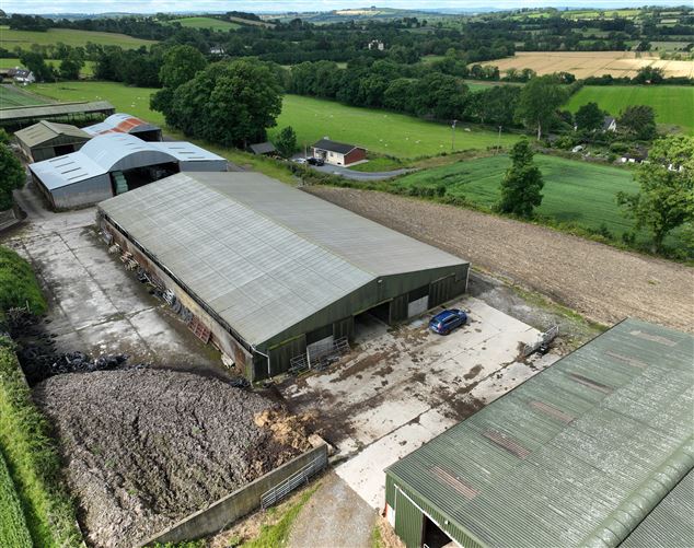 Extensive Farmyard On c. 4.5 Acres / 1.82 HA., Park Lane, Grangebeg, Dunlavin, Wicklow