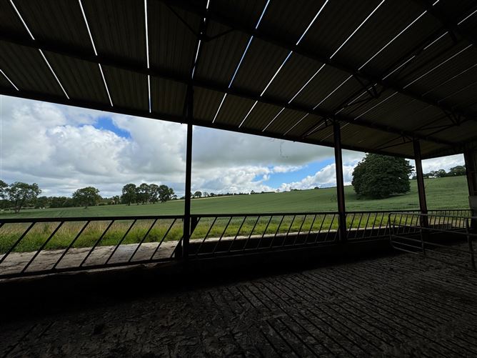 Extensive Farmyard On c. 4.5 Acres / 1.82 HA., Park Lane, Grangebeg, Dunlavin, Wicklow