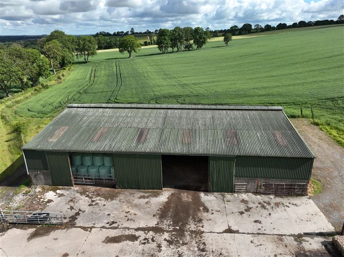 Extensive Farmyard On c. 4.5 Acres / 1.82 HA., Park Lane, Grangebeg, Dunlavin, Wicklow