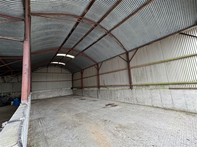 Extensive Farmyard On c. 4.5 Acres / 1.82 HA., Park Lane, Grangebeg, Dunlavin, Wicklow