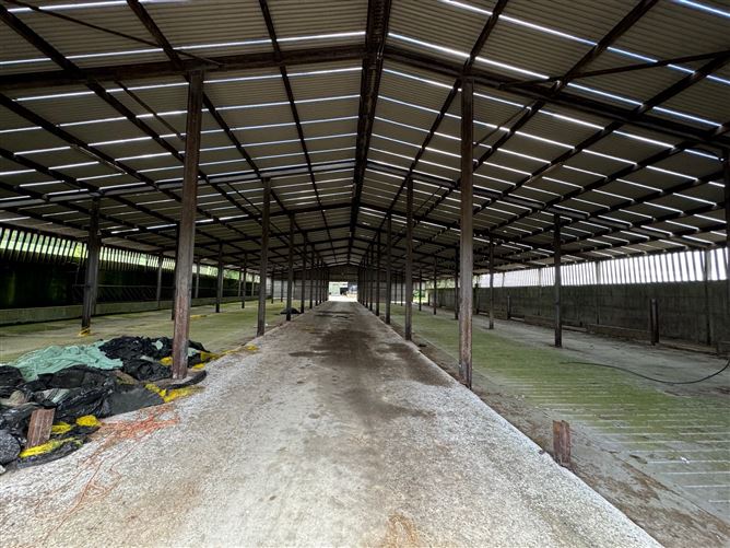 Extensive Farmyard On c. 4.5 Acres / 1.82 HA., Park Lane, Grangebeg, Dunlavin, Wicklow