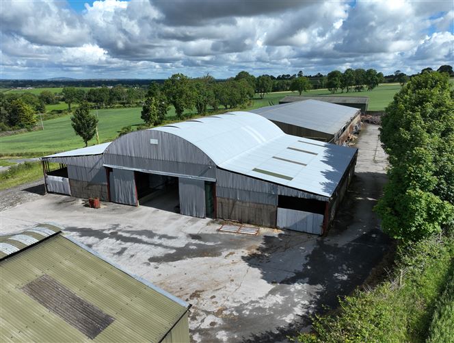 Extensive Farmyard On c. 4.5 Acres / 1.82 HA., Park Lane, Grangebeg, Dunlavin, Wicklow