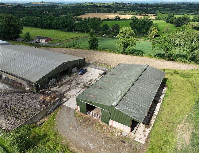 Extensive Farmyard On c. 4.5 Acres / 1.82 HA., Park Lane, Grangebeg, Dunlavin, Wicklow