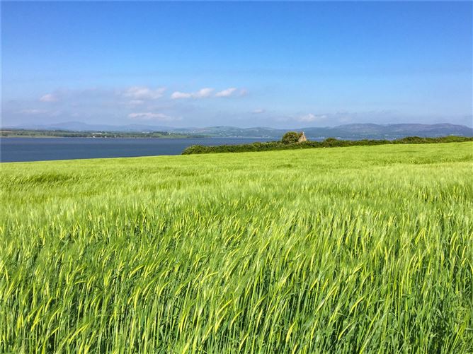 Farm At Ballymoney, Burt, Co. Donegal