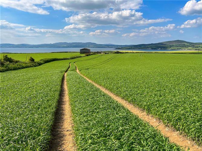 Farm At Ballymoney, Burt, Co. Donegal