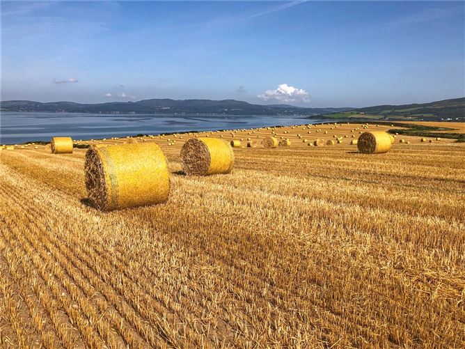 Farm At Ballymoney, Burt, Co. Donegal