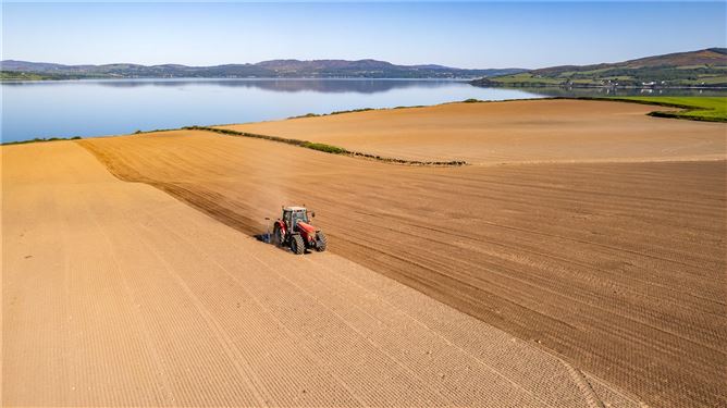 Farm At Ballymoney, Burt, Co. Donegal
