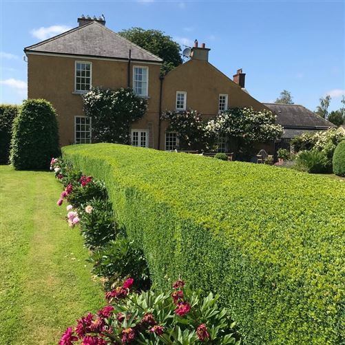 Clonmore House (near Kildare/Offaly border), Clonbullogue, Offaly