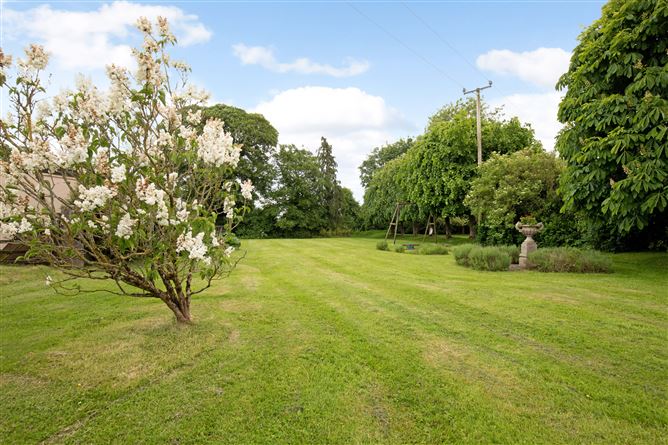 Clonmore House (near Kildare/Offaly border), Clonbullogue, Offaly