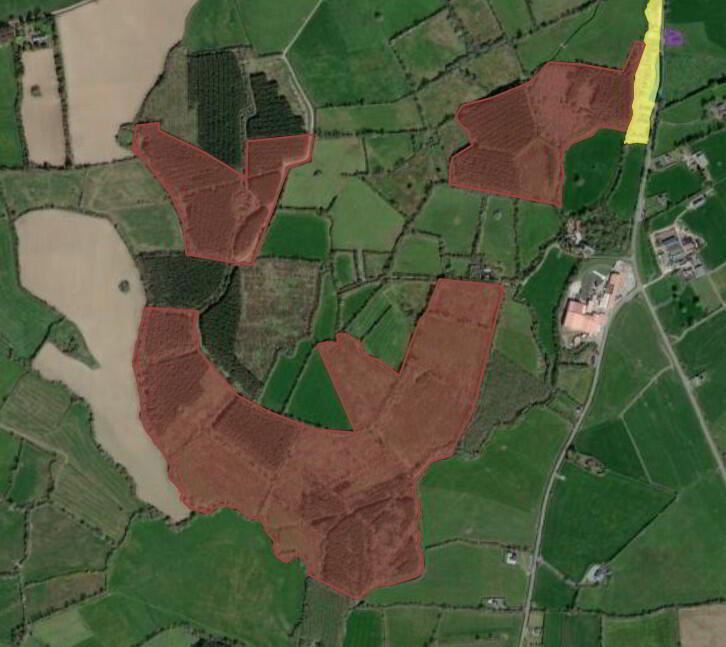 Beeverstown, Mullinahone, Tipperary