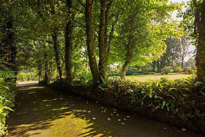 Cornalaghta, Leckaun, Leitrim