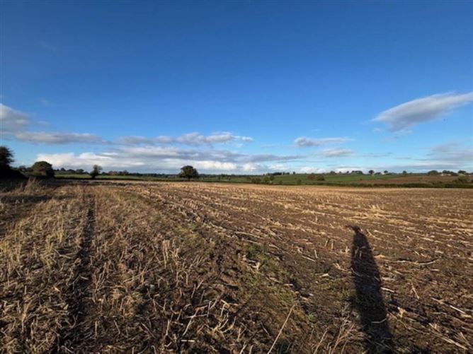 Drumminascart, Ballycommon, Nenagh, Tipperary