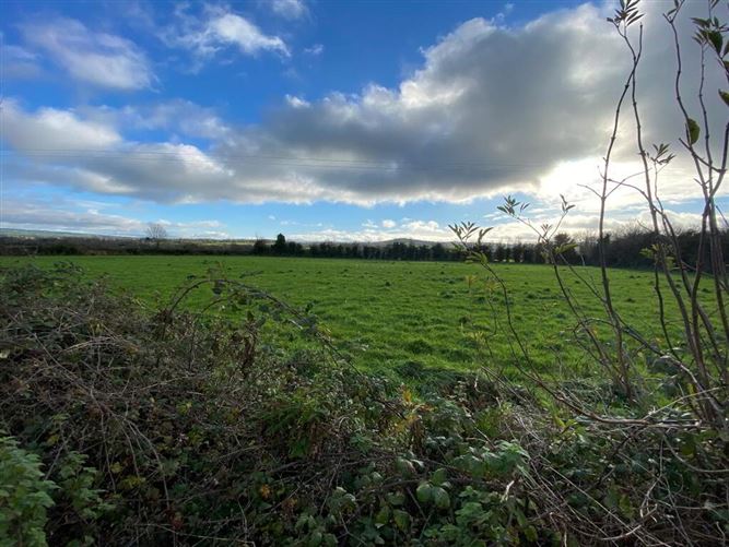 Sheepstown, Dunnamaggin, Kilkenny