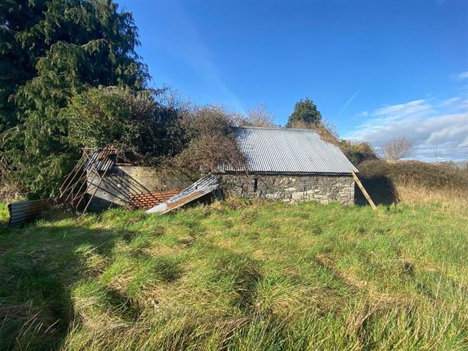 Sheepstown, Dunnamaggin, Kilkenny