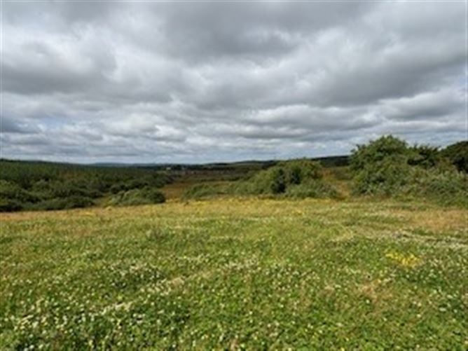 House & Lands Knockreagh, Dysart, Ennis, Clare