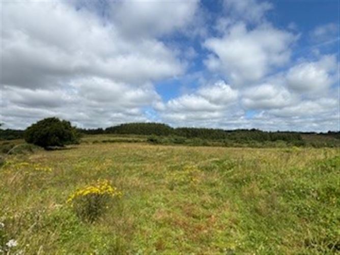 House & Lands Knockreagh, Dysart, Ennis, Clare