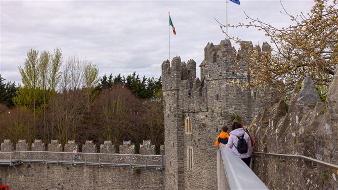 The Hawfinch, Furzefield, Swords, Dublin