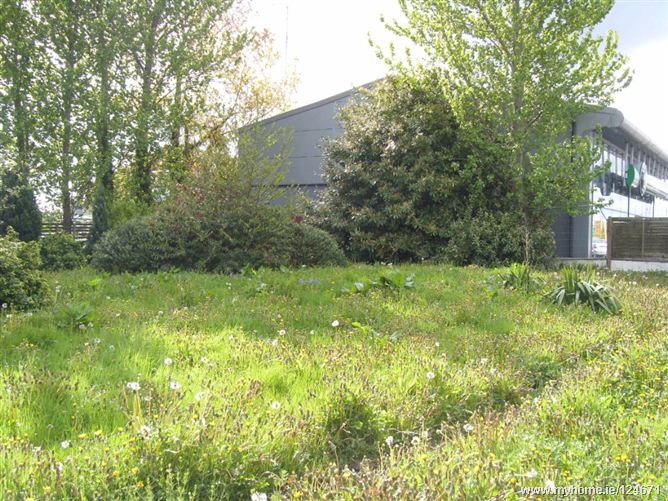 SWORDS ROAD, Santry, Dublin 9
