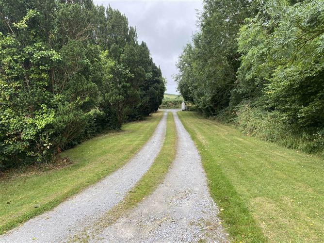 Lisamote, Adare, County Limerick