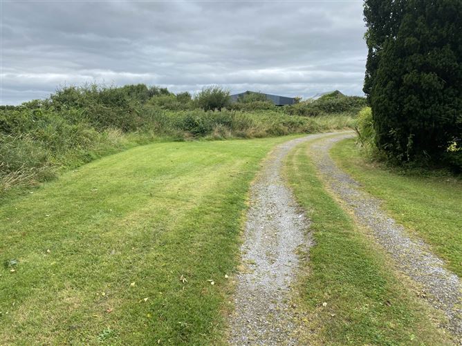 Lisamote, Adare, County Limerick