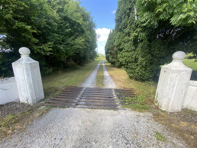 Lisamote, Adare, County Limerick