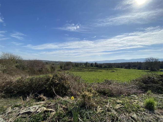 Rosemount, Carrigatoher, Nenagh, Tipperary
