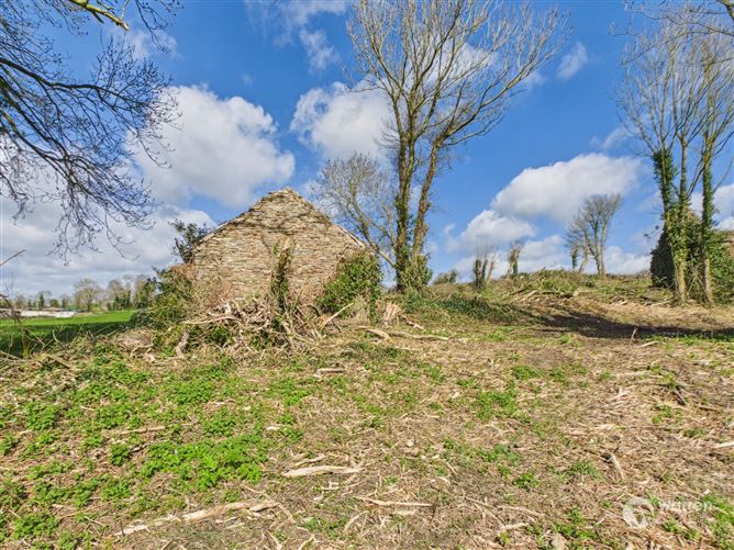 Ballyvalden, Paulstown, Kilkenny