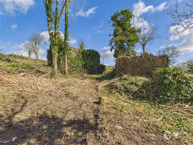 Ballyvalden, Paulstown, Kilkenny