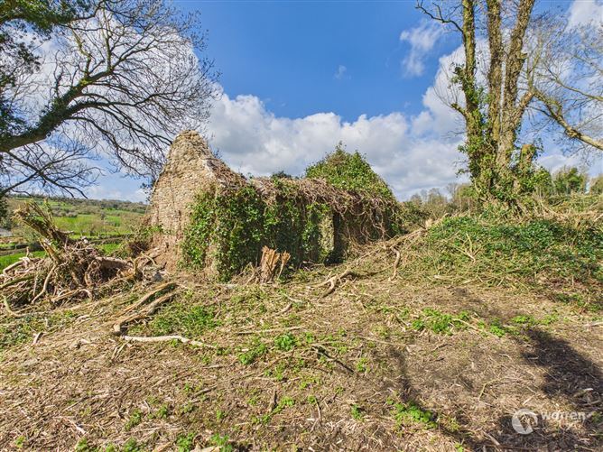 Ballyvalden, Paulstown, Kilkenny