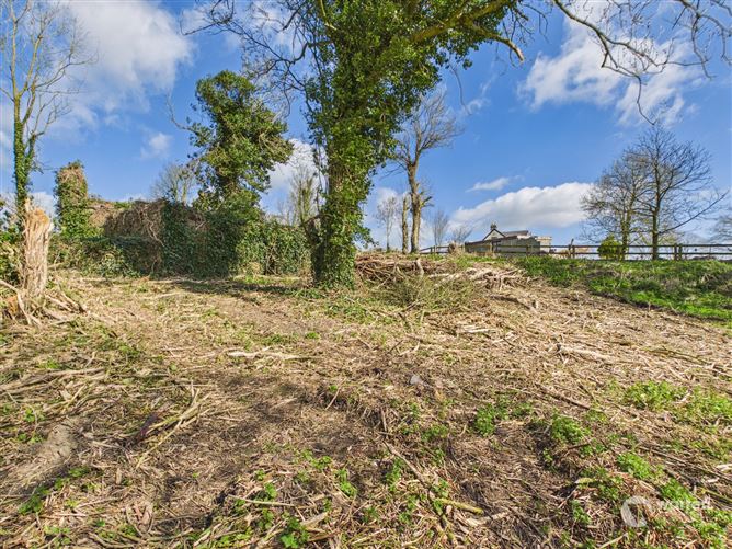 Ballyvalden, Paulstown, Kilkenny