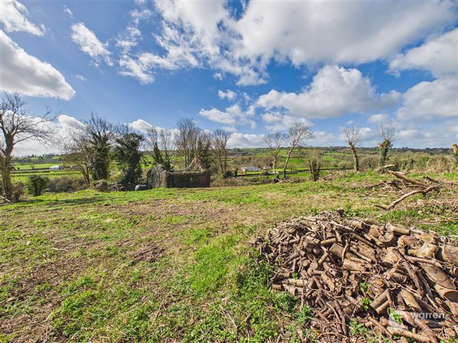 Ballyvalden, Paulstown, Kilkenny