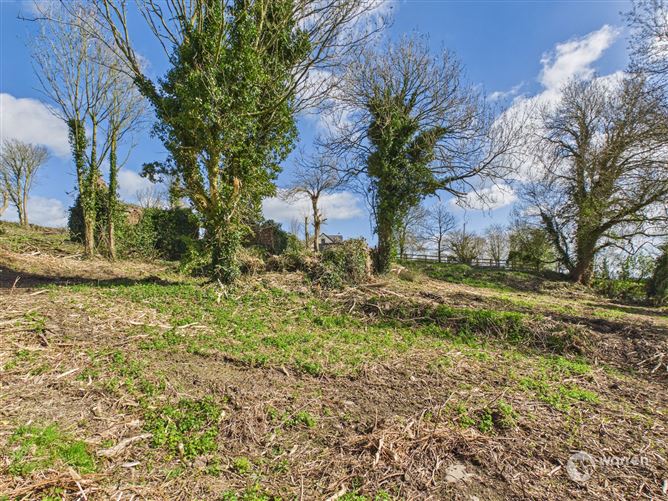 Ballyvalden, Paulstown, Kilkenny