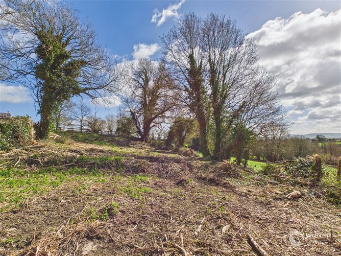 Ballyvalden, Paulstown, Kilkenny