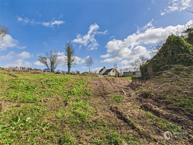 Ballyvalden, Paulstown, Kilkenny