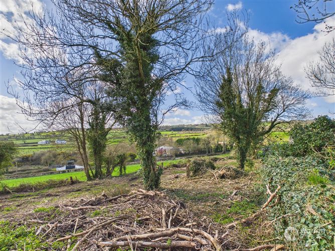 Ballyvalden, Paulstown, Kilkenny