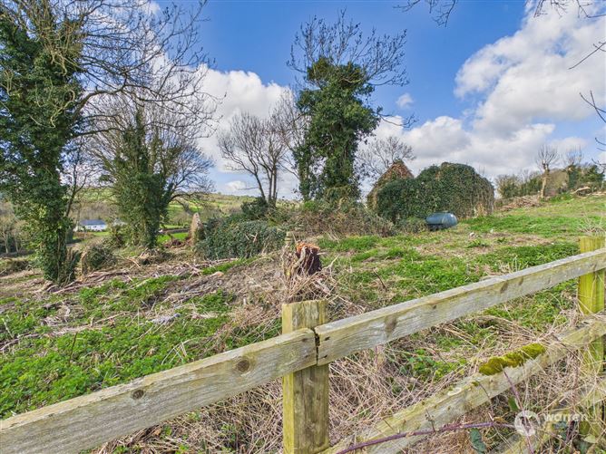 Ballyvalden, Paulstown, Kilkenny