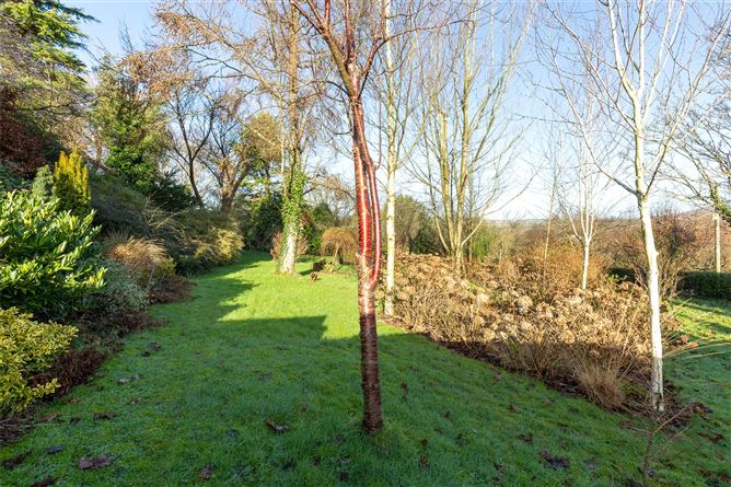 Moss Cottage, Hospital Hill, Bunclody, Co. Wexford.