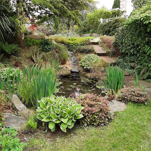 Moss Cottage, Hospital Hill, Bunclody, Co. Wexford.